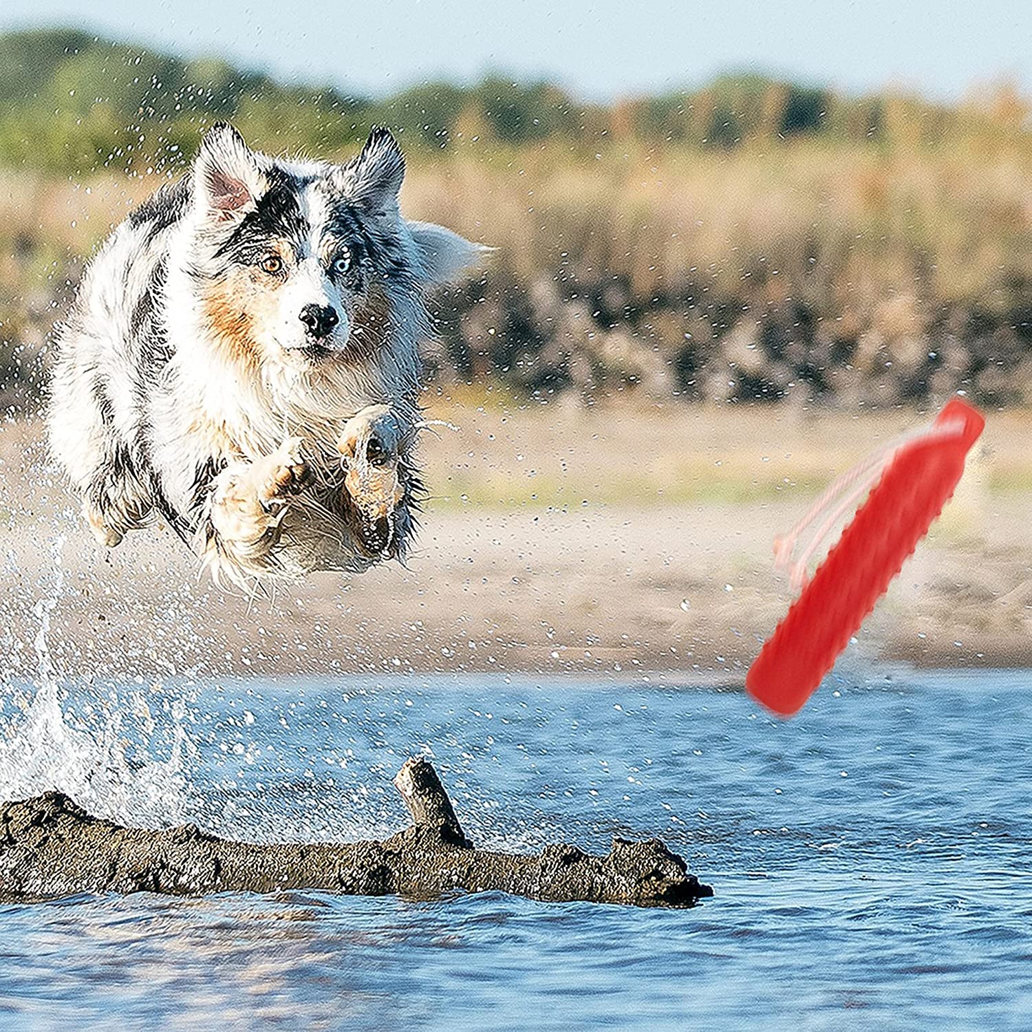 Dog Floating Fetch Toy – Interactive Water Training Bumper Toy with Rope for Small, Medium, & Large Dogs, Lightweight for Pool Play