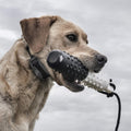 Sportdog Fieldtrainer 425X/Sporthunter 825 Shock Collar, Waterproof, Rechargeable, Tone/Vibration/Shock