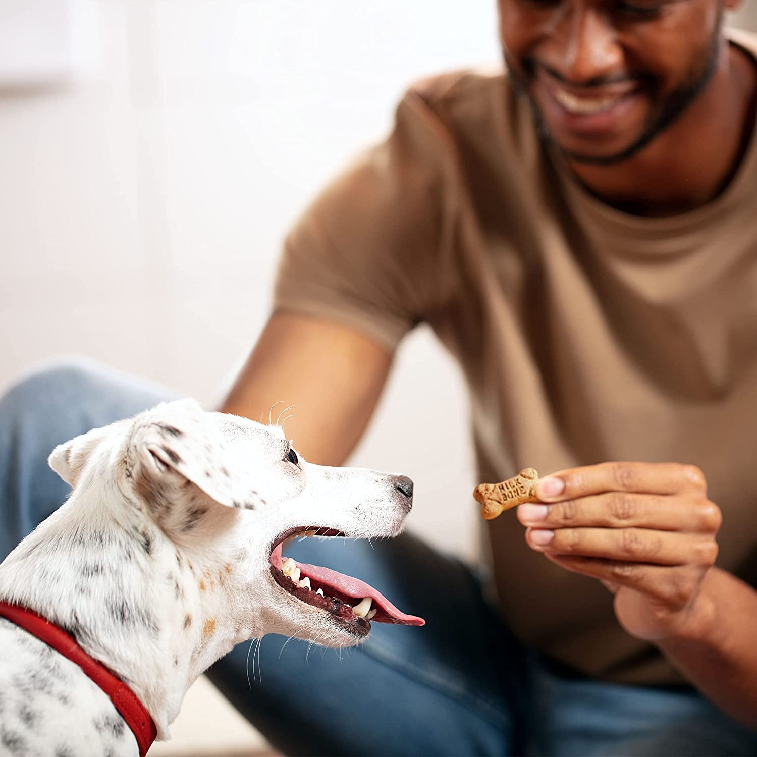 Milk-Bone Mini's Flavor Snacks – Dog Treats, Crunchy Texture Helps Reduce Tartar and Support Dental Health