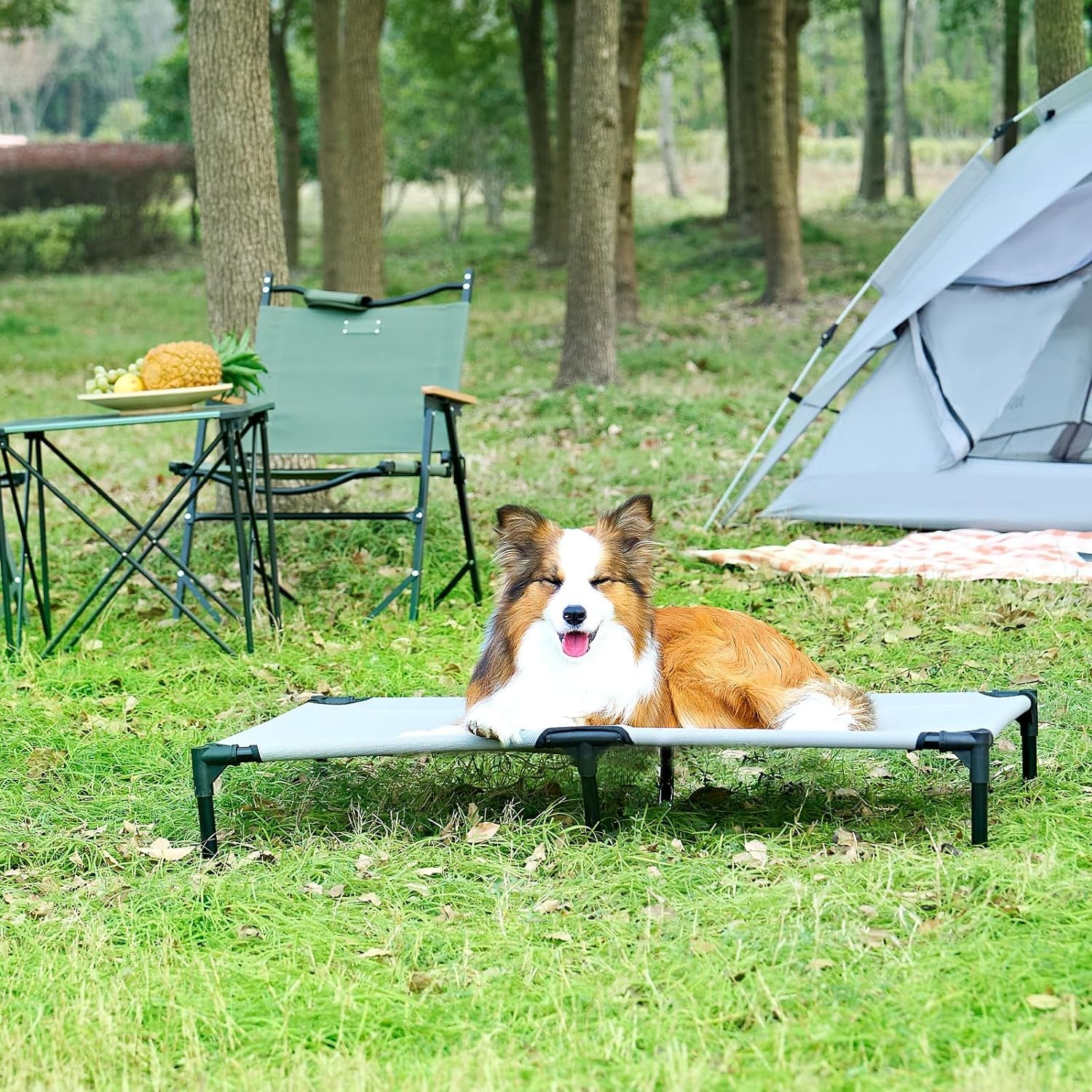 EHEYCIGA 50" XL Elevated Dog Cot: Washable, Cooling Mesh, Lifted Hammock, Anti-Slip Feet