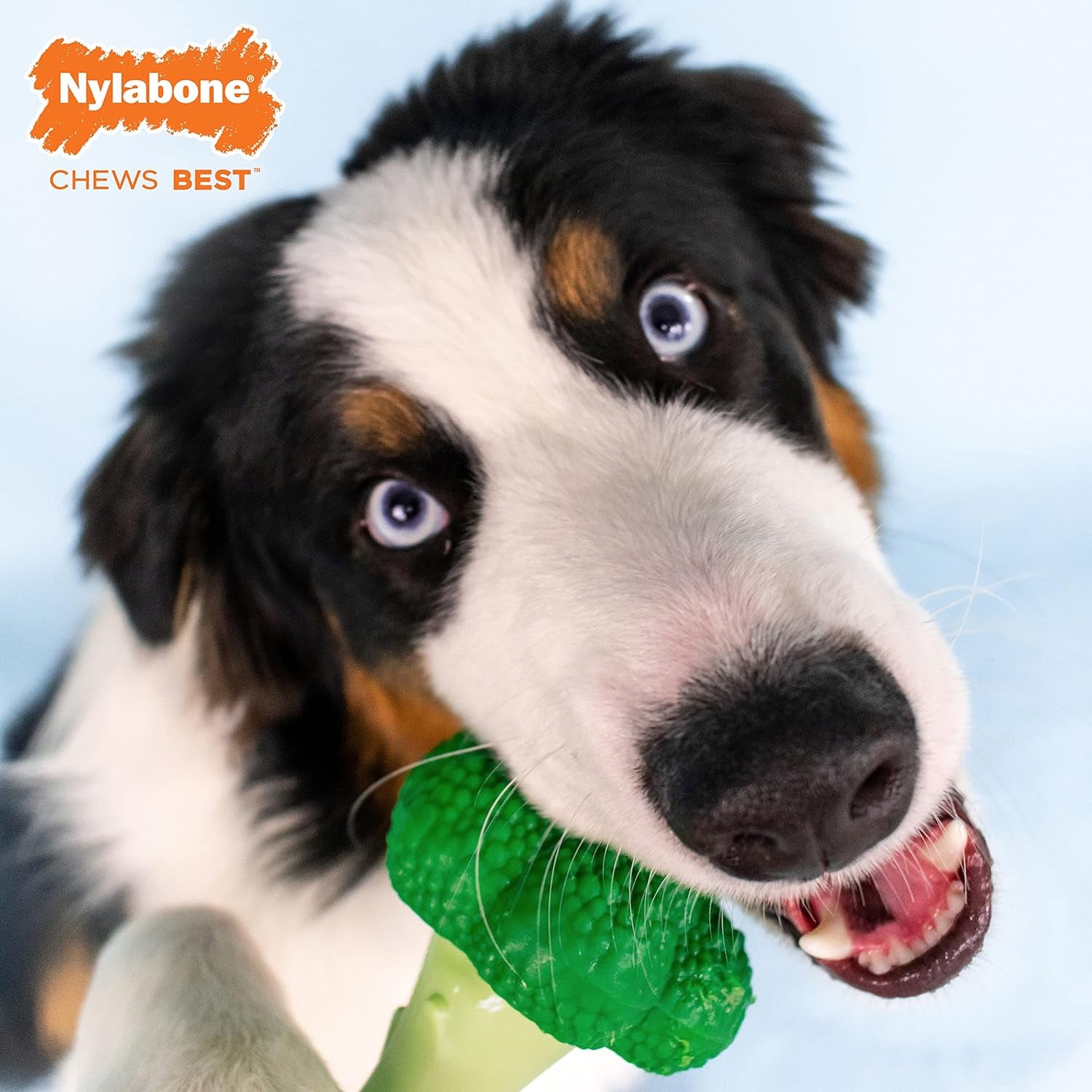 NYLABONE Broccoli Dog Toy Power Chew – Cute Dog Toys for Aggressive Chewers – with a Funny Twist! Bacon & Cheese Flavor, Large/Giant