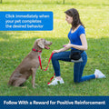 Petsafe Clik-R Training Clicker for Dogs: Enhance Positive Behavior, Includes Training Guide, Purple or Blue