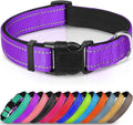 Joytale Large Reflective Dog Collar: Soft Neoprene Padded, Breathable Nylon, Adjustable, Teal