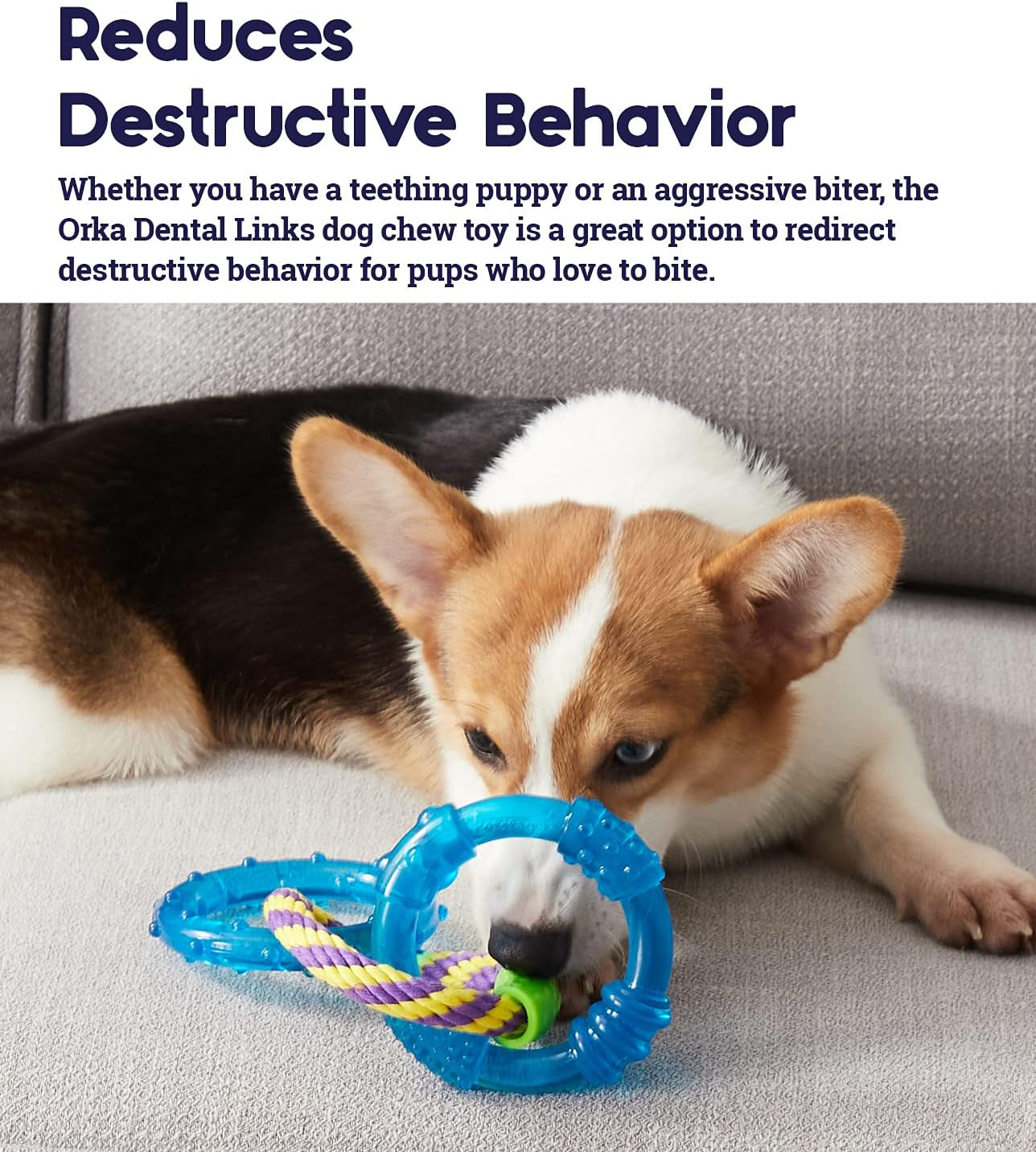 Dental Links Chew Toy – Durable Dental Care Toy for Dogs, Promotes Healthy Teeth and Gums, Great for Chewing & Interactive Play