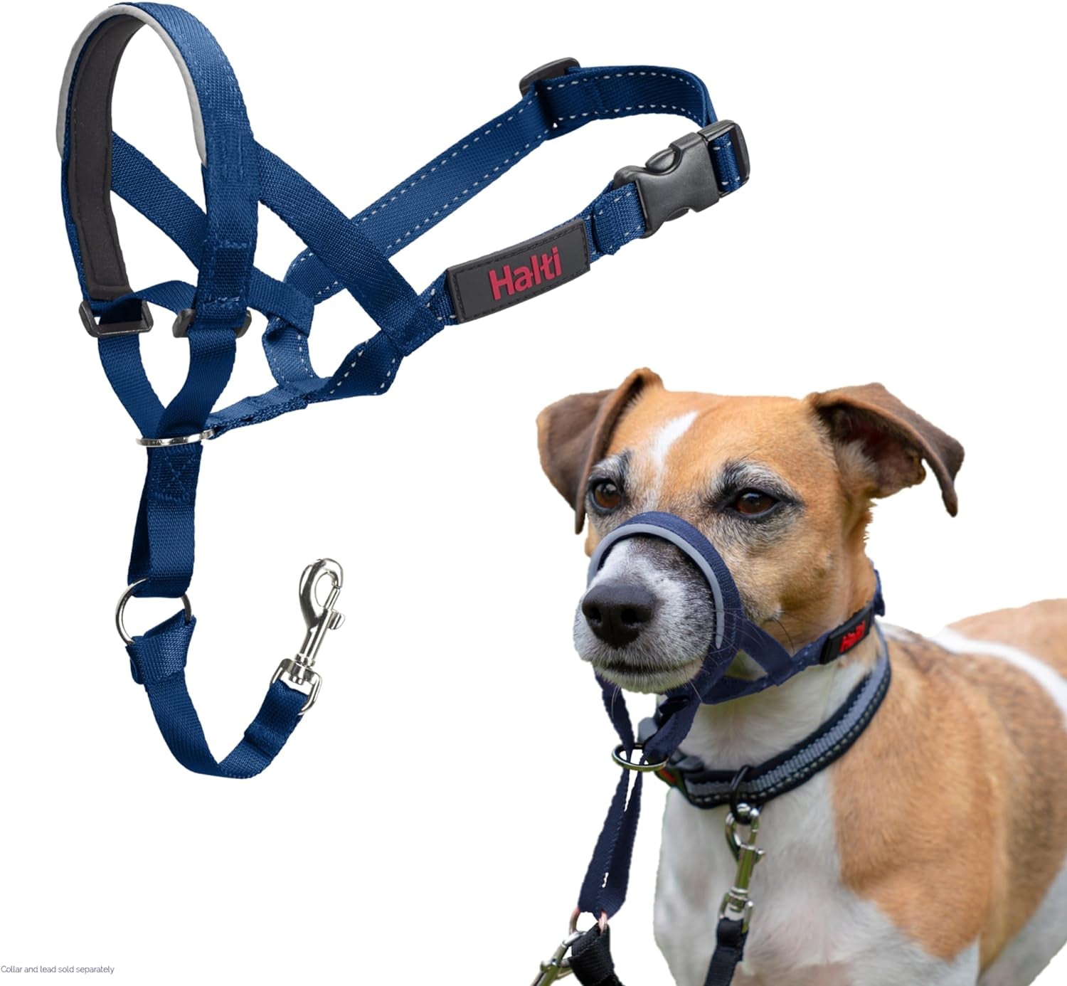 HALTI Headcollar for Medium Dogs - Adjustable, Reflective Anti-Pull Collar with Padded Nose Band