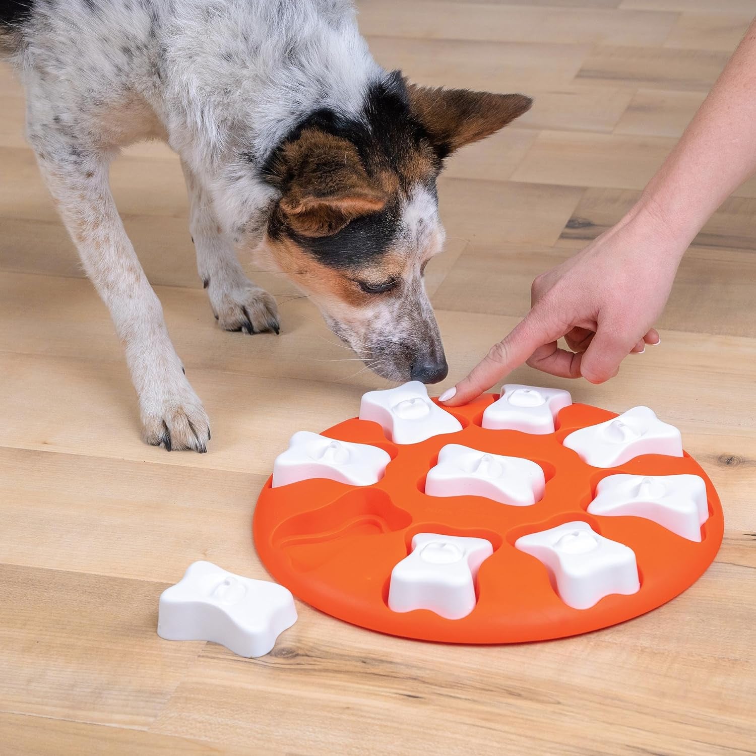 Outward Hound Nina Ottosson Dog Smart Puzzle: Interactive Treat Puzzle, Beginner, Orange