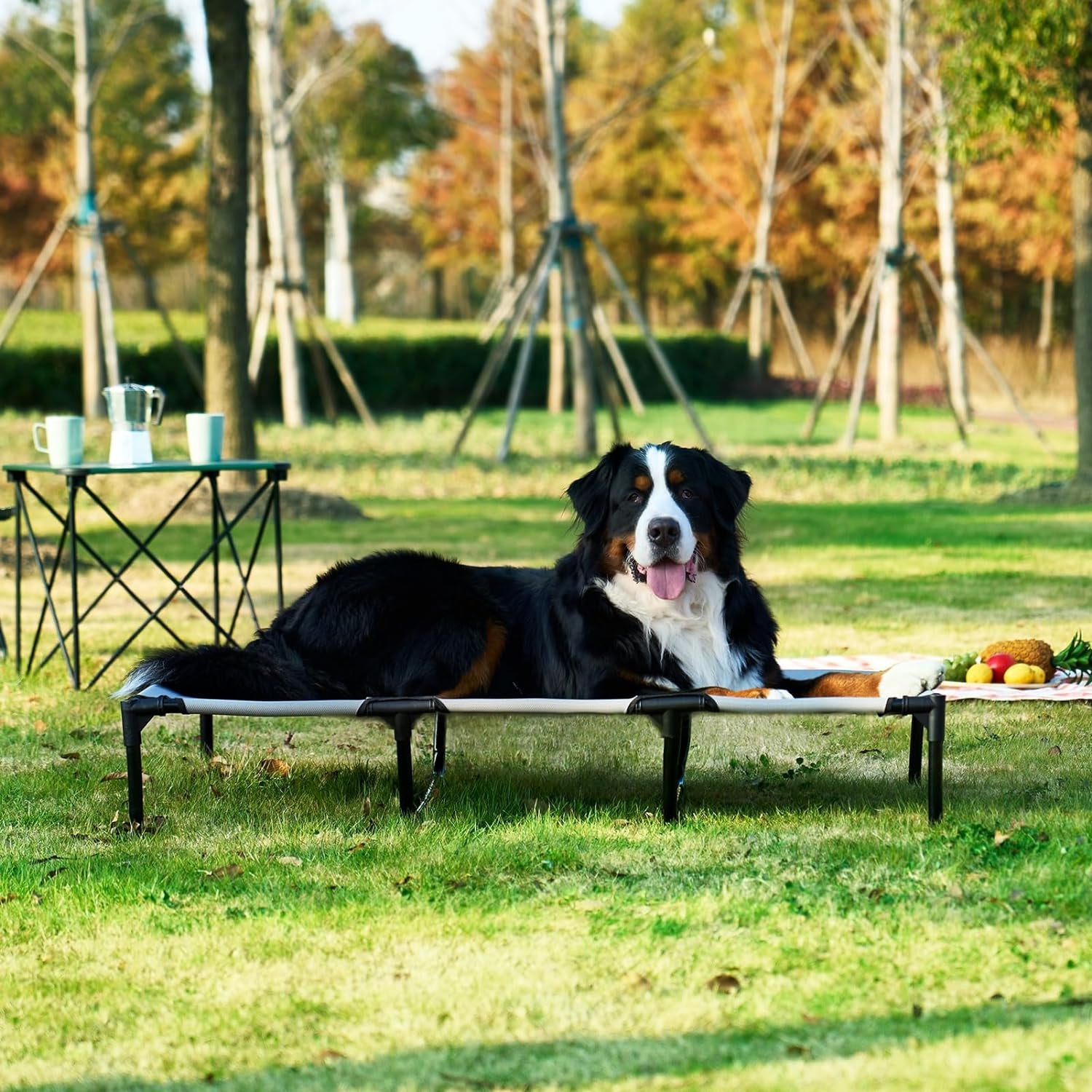 EHEYCIGA 50" XL Elevated Dog Cot: Washable, Cooling Mesh, Lifted Hammock, Anti-Slip Feet