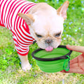 2-Pack Collapsible Dog Bowls with Carabiners: Small, Portable, Blue+Green for Travel