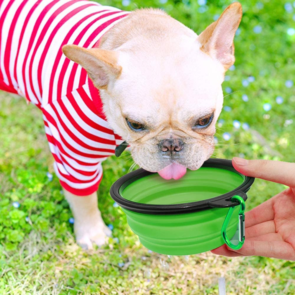 2-Pack Collapsible Dog Bowls with Carabiners: Small, Portable, Blue+Green for Travel