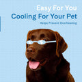 The Green Pet Shop Cooling Mat, Medium - Pressure-Activated, Non-Toxic Gel for Dogs & Cats, 21-45lbs