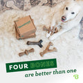 Benebone Medium Dog Chew Toys - 4-Pack for Aggressive Chewers, Made in USA, for Dogs up to 60lbs