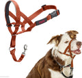 HALTI Headcollar for Medium Dogs - Adjustable, Reflective Anti-Pull Collar with Padded Nose Band