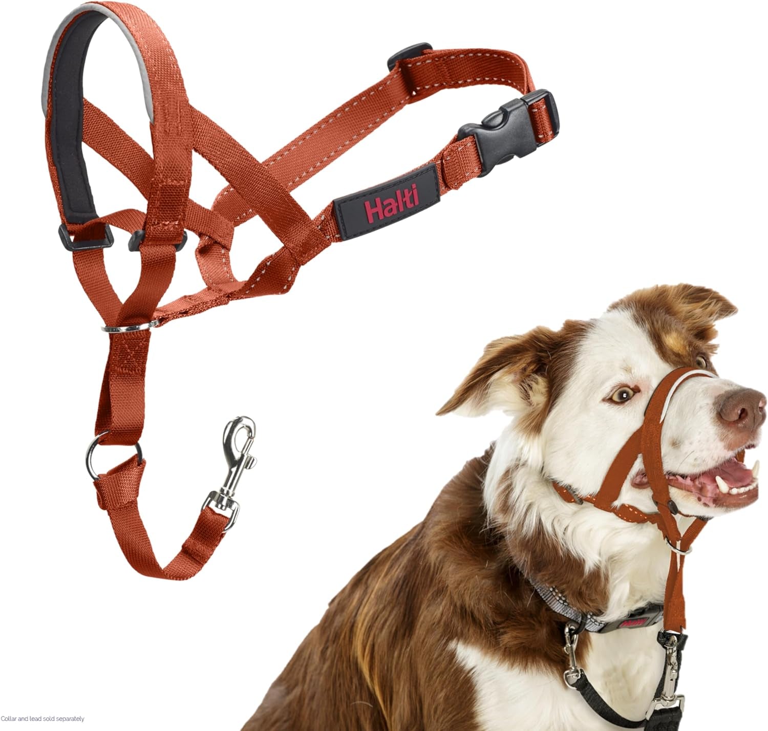 HALTI Headcollar for Medium Dogs - Adjustable, Reflective Anti-Pull Collar with Padded Nose Band