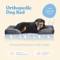 Orthopedic Sofa Dog Bed, Egg Foam, Extra Head/Neck Support, Waterproof, Medium Dogs