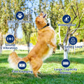 Electric Dog Fence System with Training Collar and Remote Control, Wireless Boundary Containment