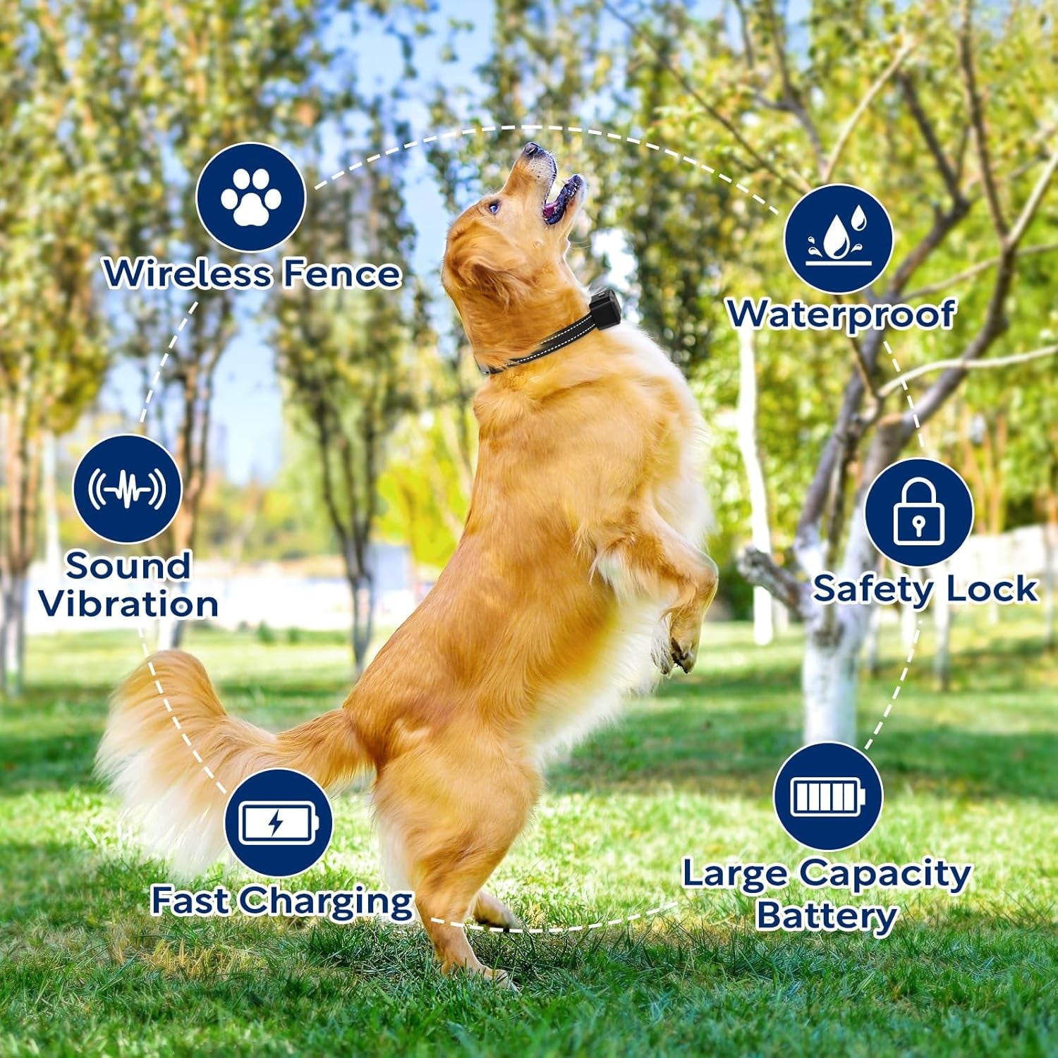 Electric Dog Fence System with Training Collar and Remote Control, Wireless Boundary Containment