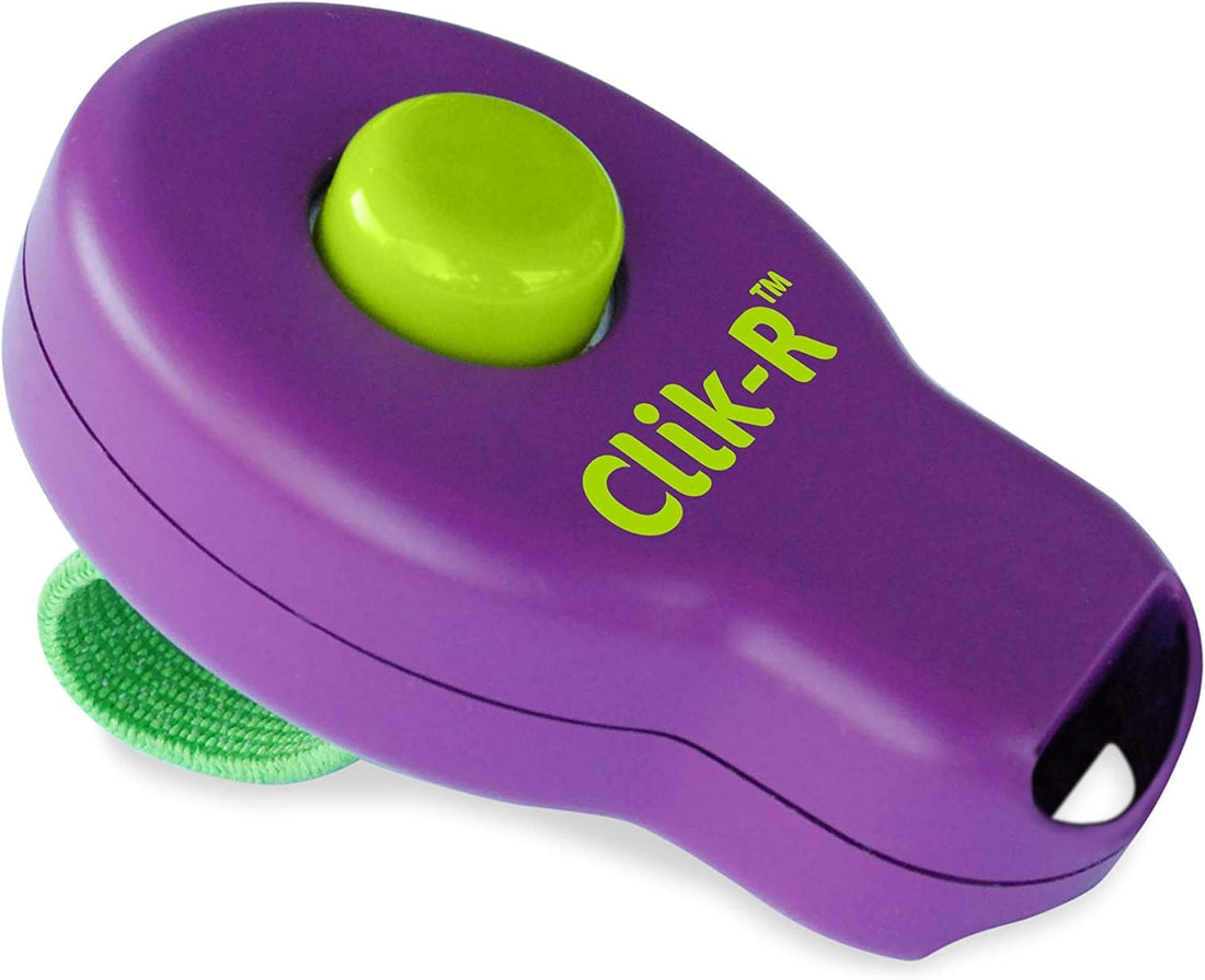 Petsafe Clik-R Training Clicker for Dogs: Enhance Positive Behavior, Includes Training Guide, Purple or Blue