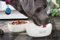 Pearhead Woof Ceramic Pet Bowl, White, Microwave/Dishwasher Safe, 24 Oz