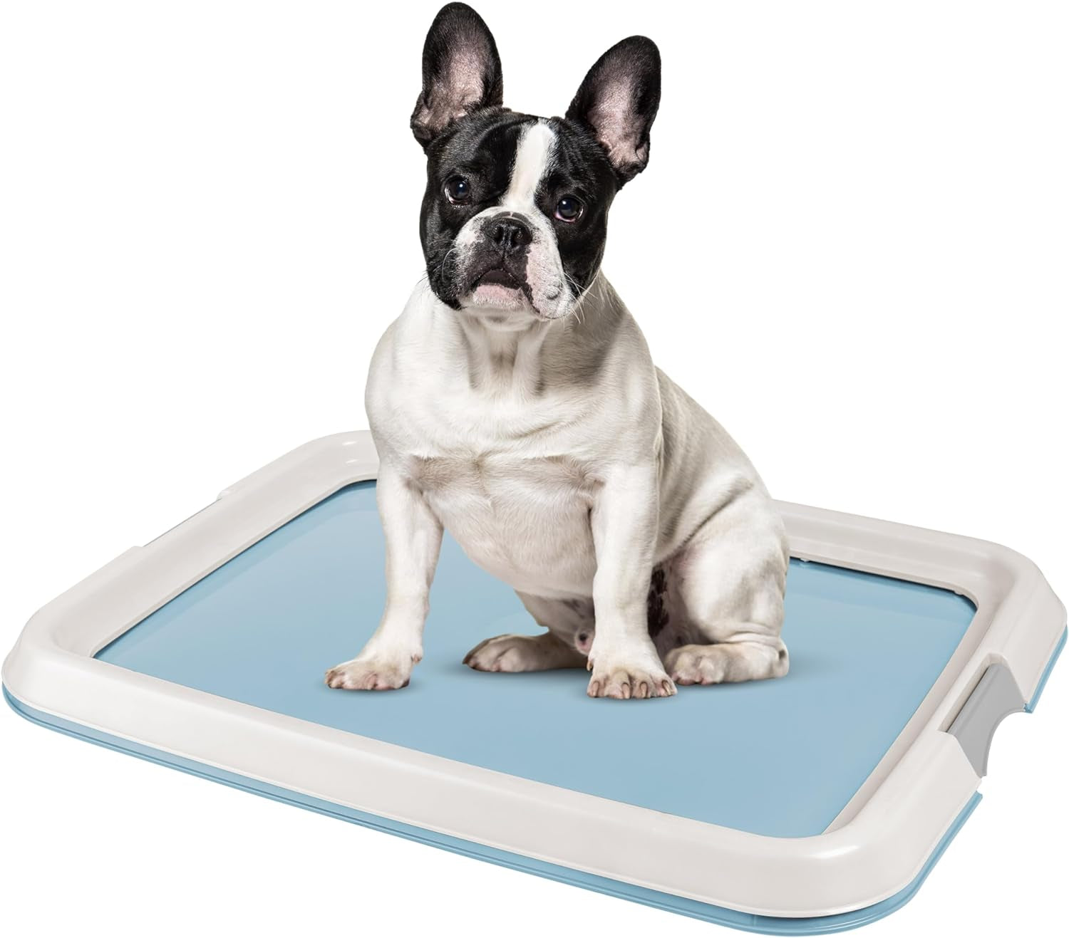 IRIS USA Pee Pad Holder – Non-Skid Leak Protection Tray, Secured Latches, Easy Clean Finish, Fits 20"x20" Pads