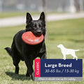 KONG Flyer: Durable Rubber Flying Disc, Outdoor Dog Toy for Fetch, Medium/Large Dogs