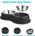 Double Dog Bowls - Stainless Steel, Non-Slip Resin Station, for Puppies, Medium Dogs