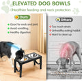 Adjustable Elevated Dog Bowls - 4 Heights, 2 Thick Stainless Steel Bowls for Medium to Large Dogs