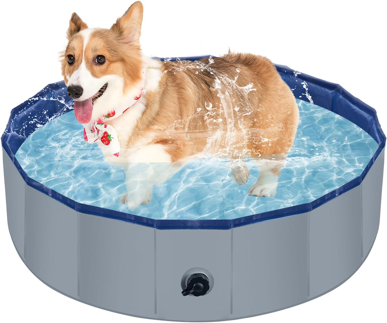 Foldable Medium Dog Pool, Collapsible Bath for Dogs & Kids, PVC, 40"x12"