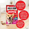 Milk-Bone Mini's Flavor Snacks – Dog Treats, Crunchy Texture Helps Reduce Tartar and Support Dental Health