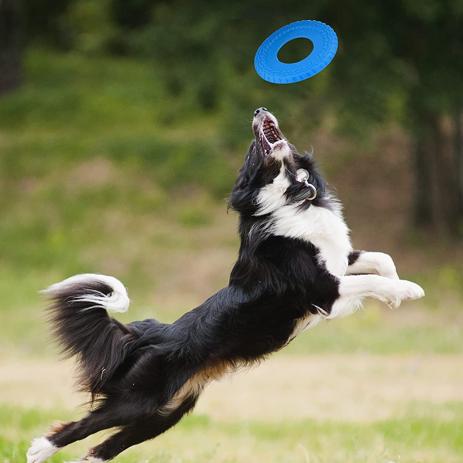 Nerf Dog Rubber Tire Flyer, Flying Disc, Floats, Durable - 10" Diameter, Blue