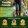 GPS Dog Fence – App-Based Wireless Dog Collar with Long Battery Life, Accurate & Reliable Virtual GPS Fence System