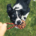 Large Breed Tough Chew Toy Set: 9-Piece Heavy Duty Dental Rope Kit for Aggressive Chewers